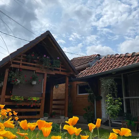 Seosko Turisticko Domacinstvo Pavlovica Konaci * Guča