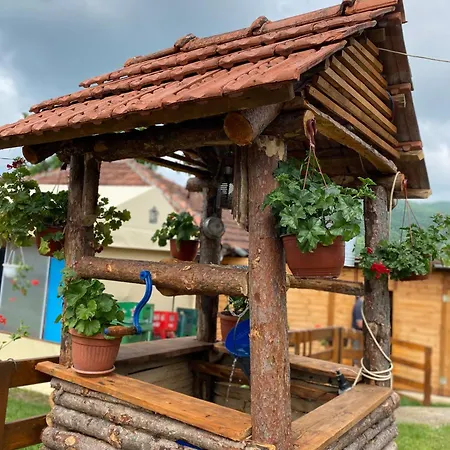 Seosko Turisticko Domacinstvo Pavlovica Konaci * Guča